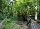 2016 07- D8H6257 : Besök i Växjö, Skåne, Söderåsens Nationalpark